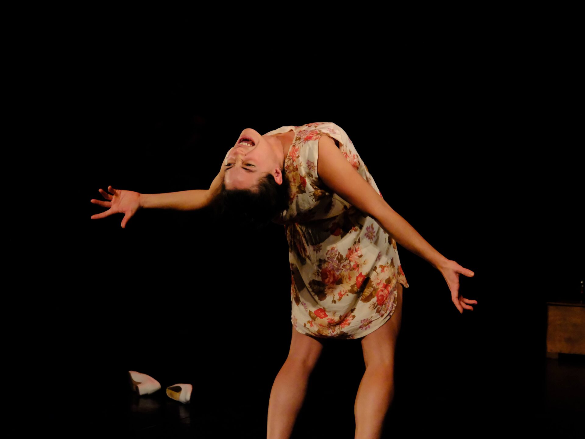 Laboratoire d'expression et création Scénique 